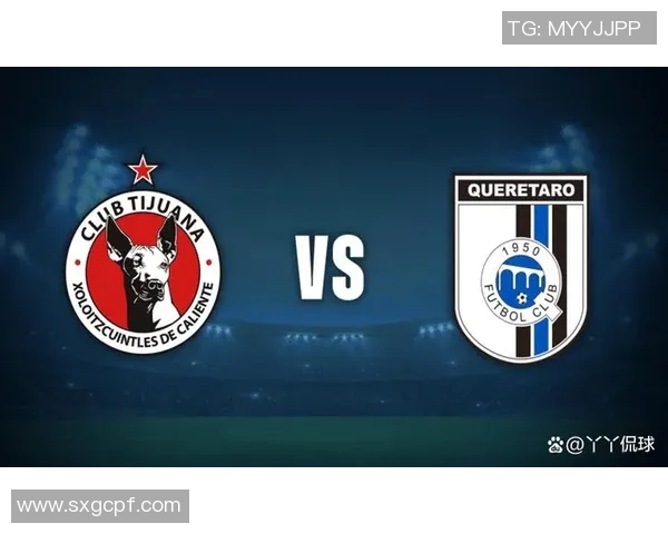 足球小白快速入门指南带你轻松认全世界顶级球星