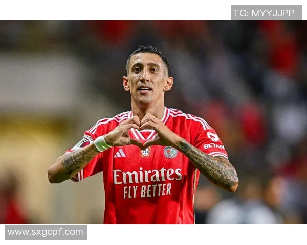 迪马利亚物料球星卡足球收藏价值及市场趋势分析